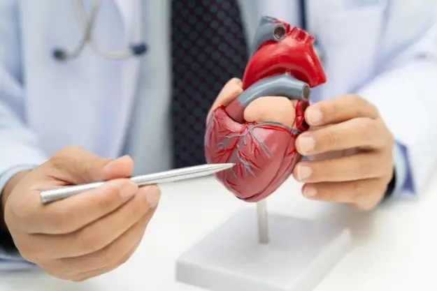 Advanced Cardiovascular Life Support